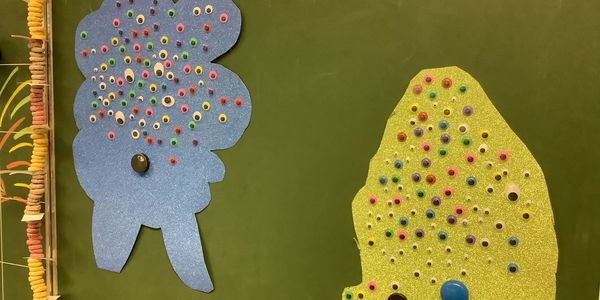 Bären sind 100 Tage klüger