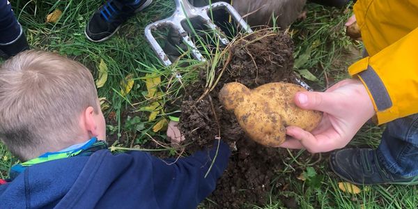 GemueseAckerdemie: Die letzte Ernte 2022