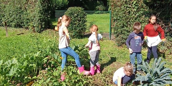 Es wird wieder geackert