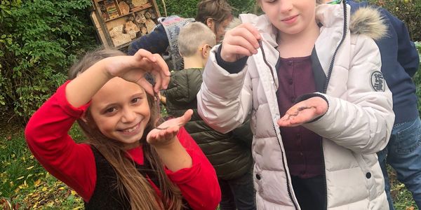 GemueseAckerdemie: Die letzte Ernte 2022