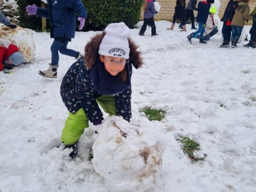 20250110_095410.jpg