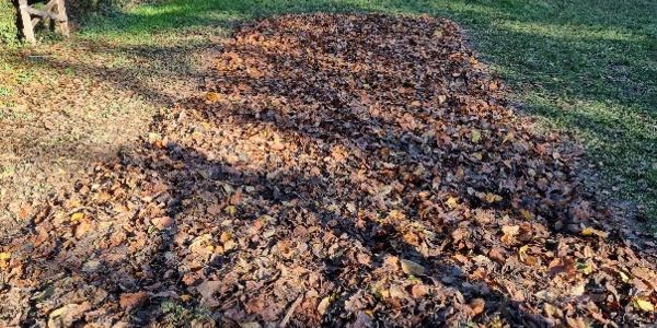 Wir schicken unseren Acker in den Winterschlaf