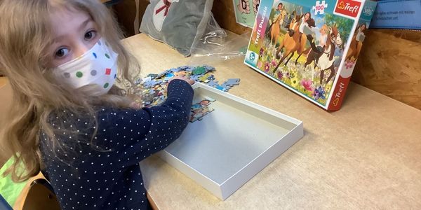 Bären sind 100 Tage klüger