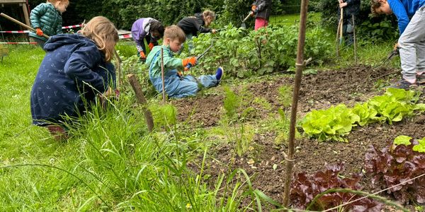 Ackern im Juni 2024