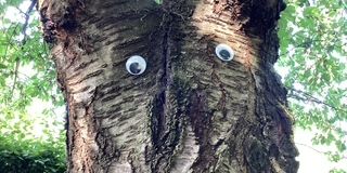 LandArt im Kunstunterricht mit Frau Zouhir