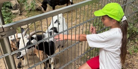 Ausflug der Vierties in den Brückenkopfpark