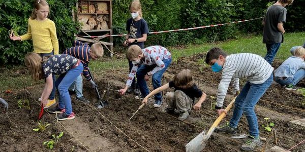Start der GemüseAckerdemie