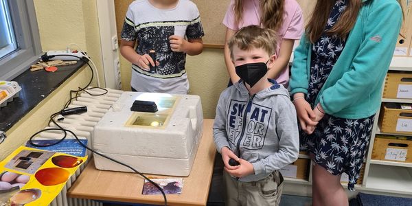 Unser Küken-Projekt