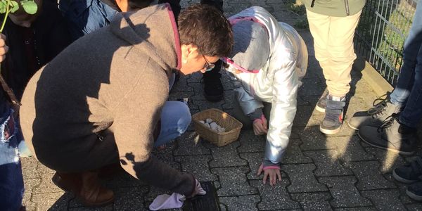 Reinigung  der Stolpersteine