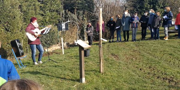 1000 Bäume-Projekt in Pannesheide