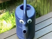 image19.jpeg