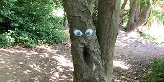 LandArt im Kunstunterricht mit Frau Zouhir