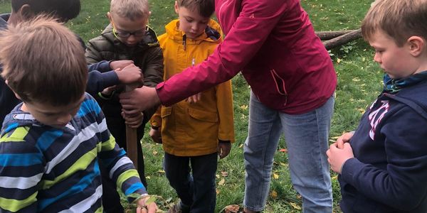 GemueseAckerdemie: Die letzte Ernte 2022