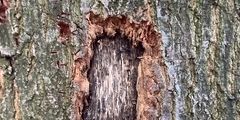 LandArt im Kunstunterricht mit Frau Zouhir