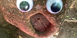 LandArt im Kunstunterricht mit Frau Zouhir